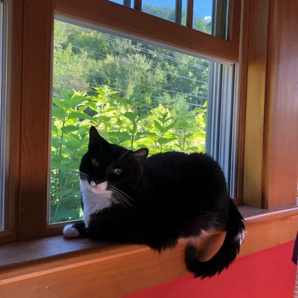 The Boys - Picture 7 of 7